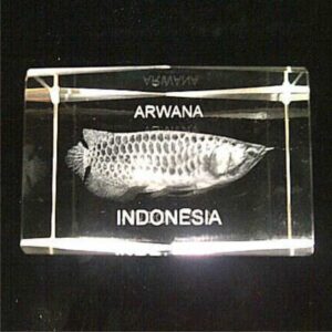 Jual Souvenir Kristal Arwana Indonesia